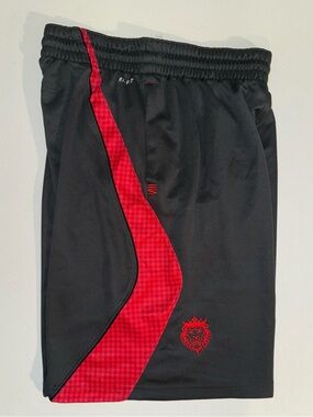 Nike LeBron James Crown Lion Gray And Red Basketball Shorts Men’s Size Large